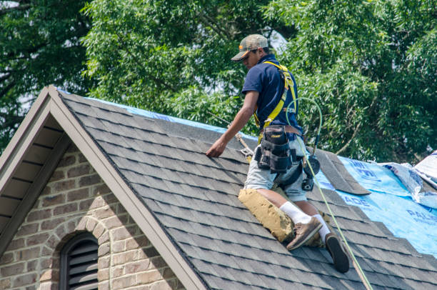 Best Flat Roof Repair Services  in Kincaid, IL
